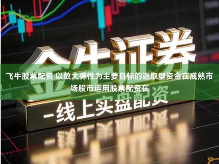 飞牛股票配资 以放大弹性为主要目标的进取型资金在成熟市场股市运用股票配资在